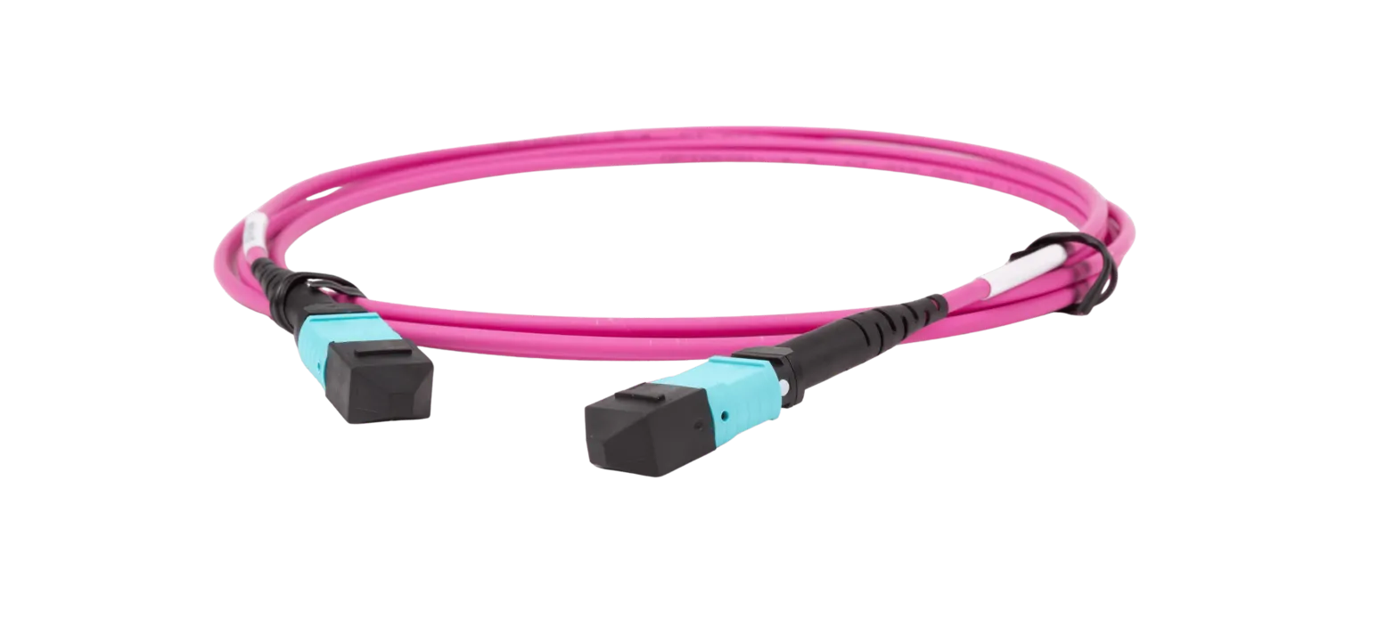 Hermesys MTP-12 to 2xMTP-4 Breakout Cable